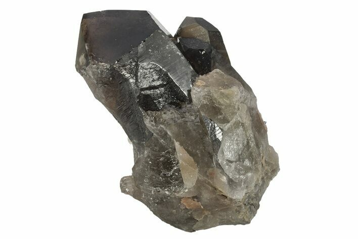 Dark Smoky Quartz Crystal Cluster - Brazil #234070